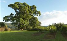 Silos Estate - - Brisbane 4u 1