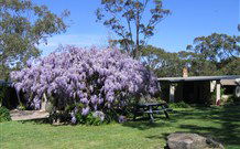 Studio Cottages - Brisbane Tourism 0