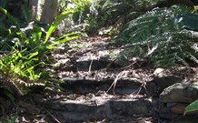 Studio Cottages - Brisbane Tourism 5