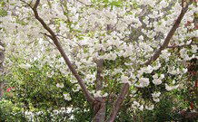 Valley Of The Waters Bed And Breakfast - Tourism Brisbane 7