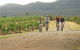 Hunter Valley YHA - thumb 6