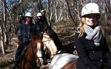 Jemby Rinjah Eco Lodge - Tourism Brisbane 1