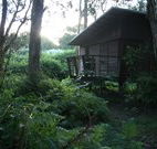 Mount Seaview Resort - Tourism Brisbane
