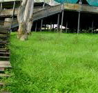 Snowy Valley Resort - Tourism Brisbane