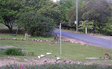 Calurla Chalets And Cottages - Tourism Brisbane 2