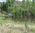 Cedar Grove - Brisbane 4u