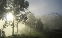 Grace Cottages - Brisbane 4u 2