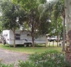 Gum Tree Heaven - Tourism Brisbane