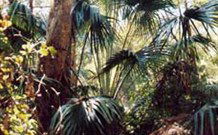 Moffat Falls Lodge, Cottages And Cabins - Tourism Brisbane 1