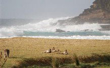 Moombilleen - Tourism Brisbane 2