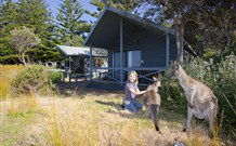 Norman Lindsay Cottage - Brisbane Tourism 9