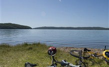 Rathkells Farm - Brisbane Tourism 1