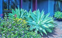 Jerrys Plains NSW Brisbane 4u