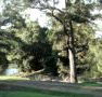 Rustic Caravan Park - Tourism Brisbane
