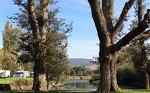 Sand Cottage - Brisbane Tourism 1