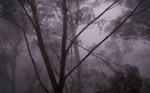 SeaChange Holiday Cottage And SeaStay Cottage - Brisbane 4u 4