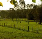 Stone Cottage Mittagong - Tourism Brisbane