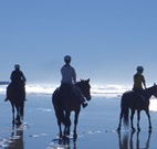 The Hayloft - Tourism Brisbane