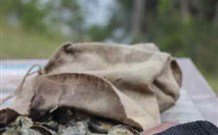 The Woods At Pokolbin - Tourism Brisbane 3