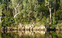 The Woods At Pokolbin - Tourism Brisbane 5