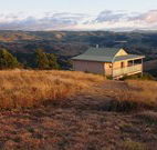 Tristania Tops Barrington - Tourism Brisbane