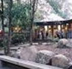 Williams River Holiday Park - Tourism Brisbane