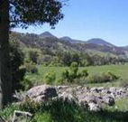 Woolshed Hill Estate - Brisbane Tourism