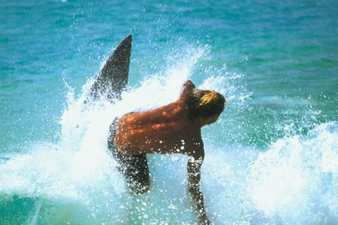 Wollongong YHA - Brisbane Tourism 3