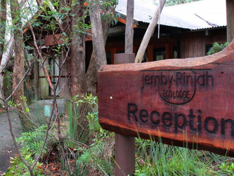 Jemby Rinjah Eco Lodge - Tourism Brisbane 3