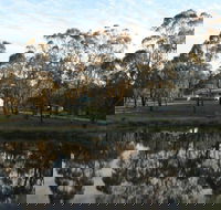 Greysen Farmstay - Tourism Brisbane