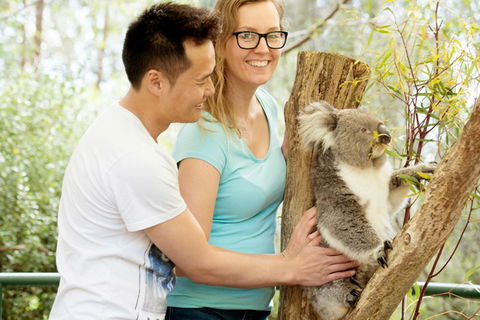 Mt Lofty YHA - Brisbane 4u 6