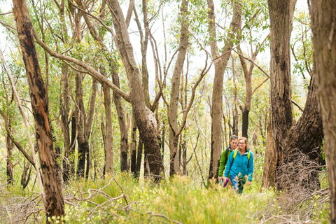 Mt Lofty YHA - Brisbane 4u 8