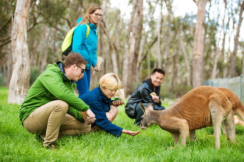 Mt Lofty YHA - Brisbane 4u 7
