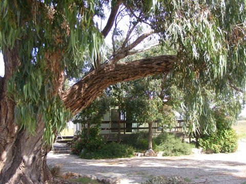 Coodlie Park - Port Kenny - Venus Bay - Brisbane 4u 4