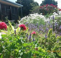 Eastwood Farm - Tourism Brisbane