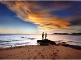 Pumpkin Island - Brisbane 4u 1