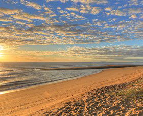 South Trees QLD Tourism Brisbane