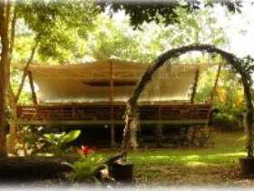 Cedar Park Rainforest Resort - Tourism Brisbane 2