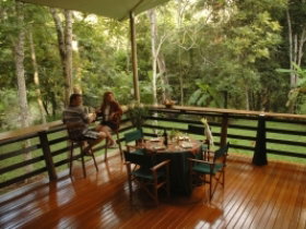 Cedar Park Rainforest Resort - Tourism Brisbane 3