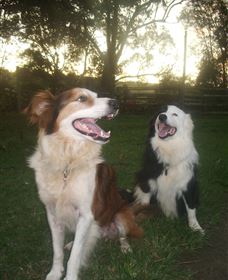 Brockhurst Farm Accommodation / Wedding Venue - Tourism Brisbane 1