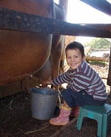 Brockhurst Farm Accommodation / Wedding Venue - Tourism Brisbane 2