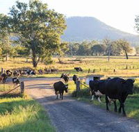 Tommerups Dairy Farmstay - Tourism Brisbane