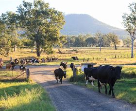 Tommerups Dairy Farmstay - Tourism Brisbane 0