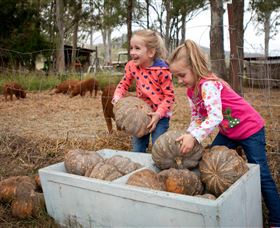 Tommerups Dairy Farmstay - Tourism Brisbane 1
