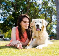 Jacobs Well Tourist Park - Tourism Brisbane