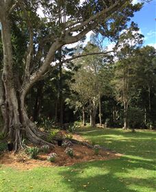 Beechmont Retreat - Brisbane 4u 0