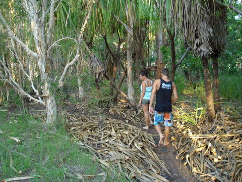 Berry Creek Bush Retreat - Tourism Brisbane 7