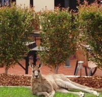 Alpha Canberra Hotel and Apartments - Brisbane 4u