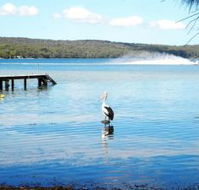 Dungowan Waterfront  Accommodation - Brisbane Tourism