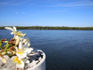 The Fishing Haven Holiday Park - Tourism Brisbane 0